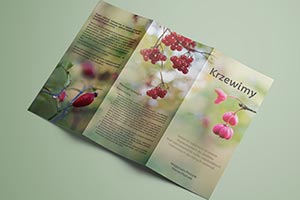 Leaflets, posters, various. „Krzewimy”, leaflet. Personal Garden Agata Białkowska – home garden design, green terraces design, green roofs design, balcony gardens design, garden architecture design, garden consulting, graphic design, workshops. Wrocław, Lower Silesia, Poland.