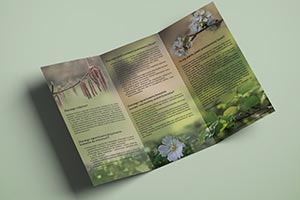 Leaflets, posters, various. „Krzewimy”, leaflet. Personal Garden Agata Białkowska – home garden design, green terraces design, green roofs design, balcony gardens design, garden architecture design, garden consulting, graphic design, workshops. Wrocław, Lower Silesia, Poland.