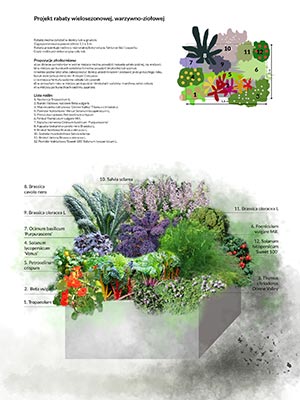 Home garden, Wrocław. Project and visualization of garden and surroundings of a house, Wrocław, 2018. Personal Garden Agata Białkowska – home garden design, green terraces design, green roofs design, balcony gardens design, garden architecture design, garden consulting, graphic design, workshops. Wrocław, Lower Silesia, Poland.
